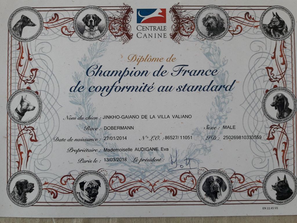 de la Croix d'Atal - Jinkho est Champion de France