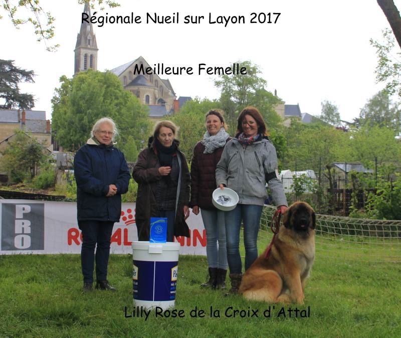 de la Croix d'Atal - Régionale d'élevage de Nueil s/ Layon 2017