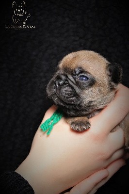 Collier vert