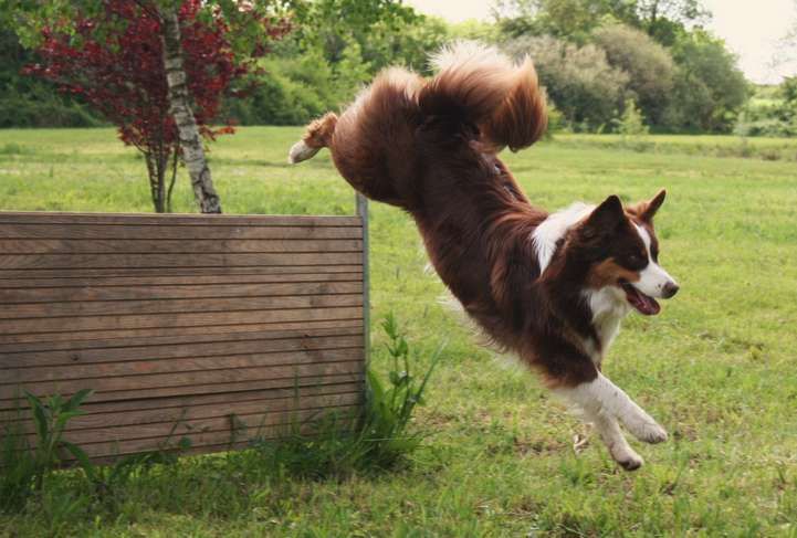 Diva de la Croix d'Atal