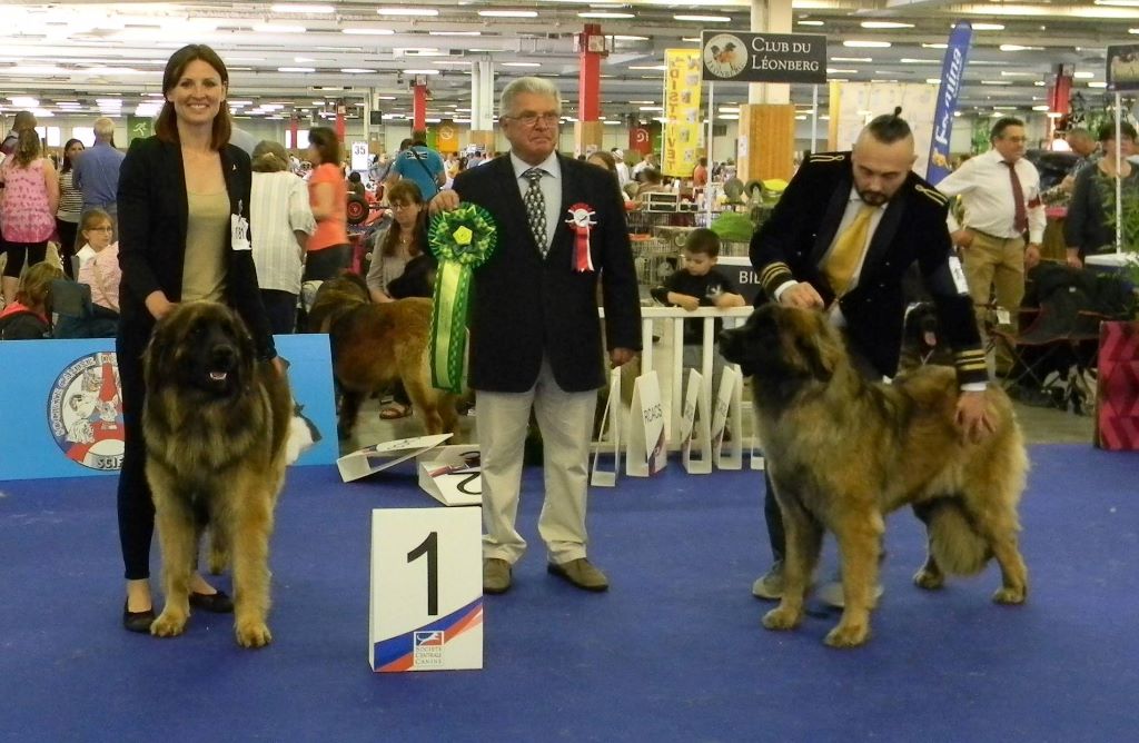 Championnat de France 2018 Le Bourget